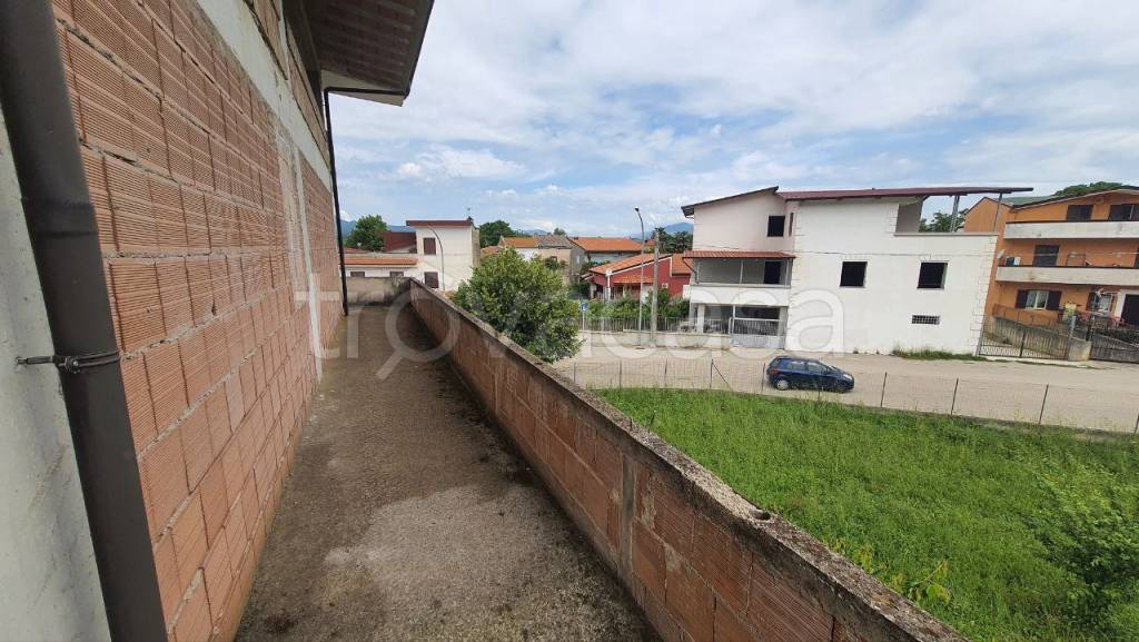 immagine annuncio 6 di 12