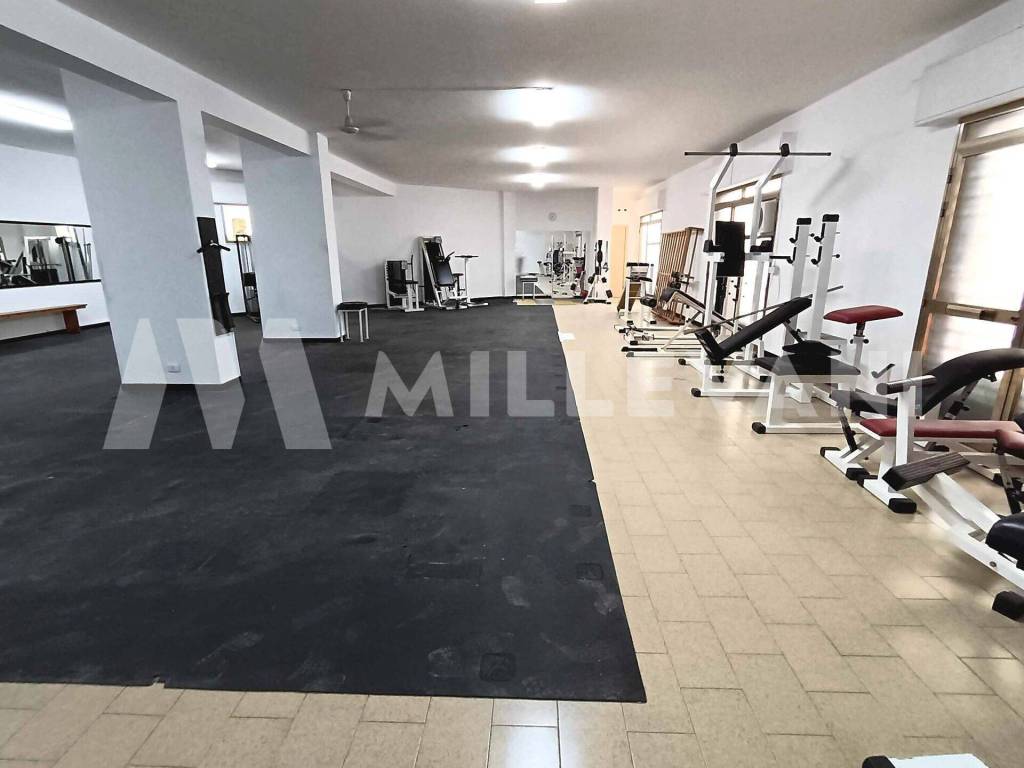 immagine annuncio 6 di 11