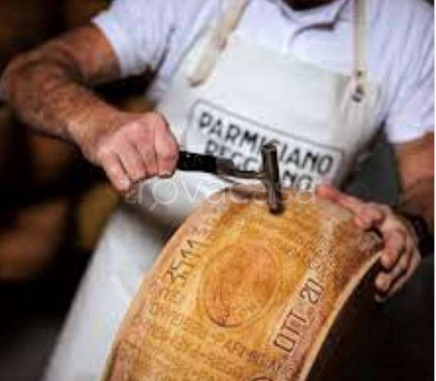 immagine annuncio 11 di 12