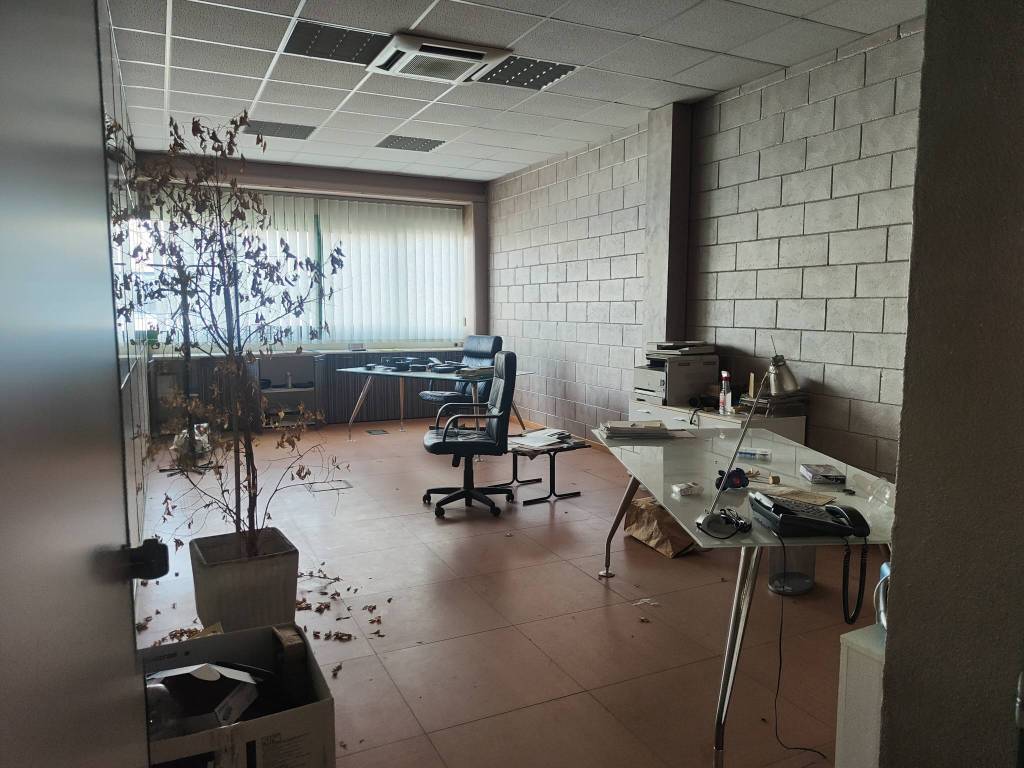 immagine annuncio 10 di 13