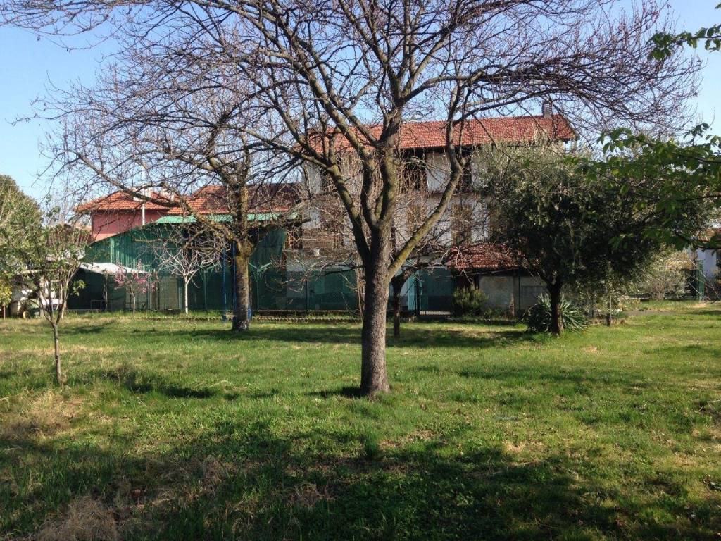 immagine annuncio 13 di 15
