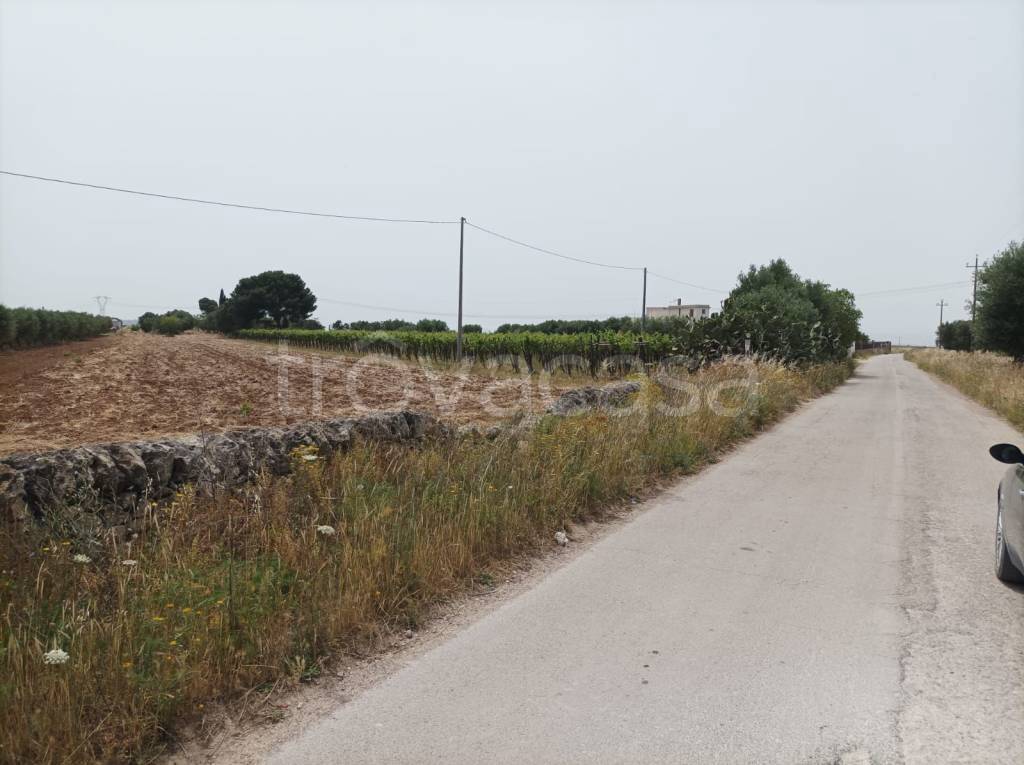 immagine annuncio 4 di 7