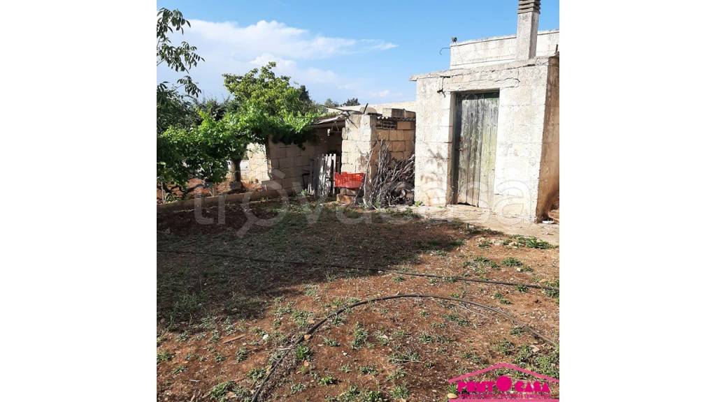 immagine annuncio 1 di 8