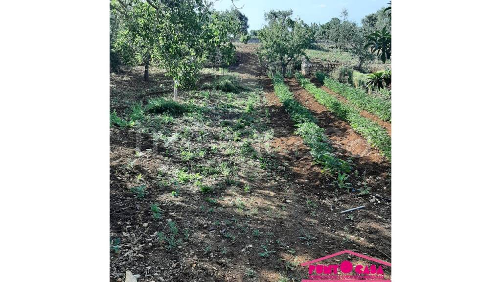 immagine annuncio 7 di 8