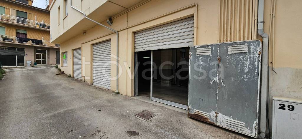 immagine annuncio 6 di 8