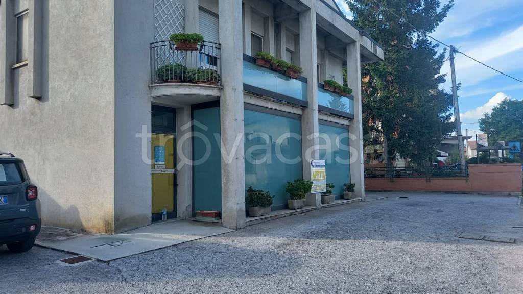 immagine annuncio 2 di 7