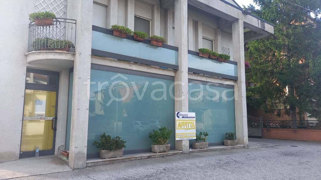 immagine annuncio 3 di 7