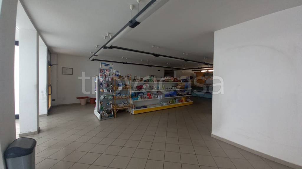 immagine annuncio 5 di 7