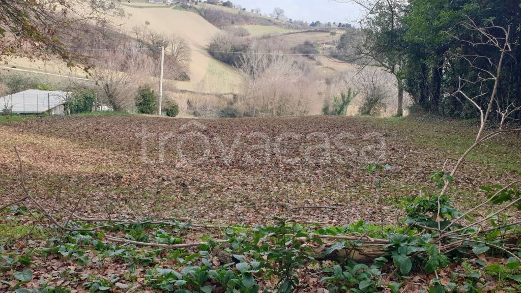 immagine annuncio 4 di 9