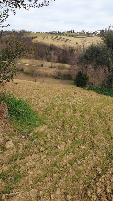 immagine annuncio 6 di 9