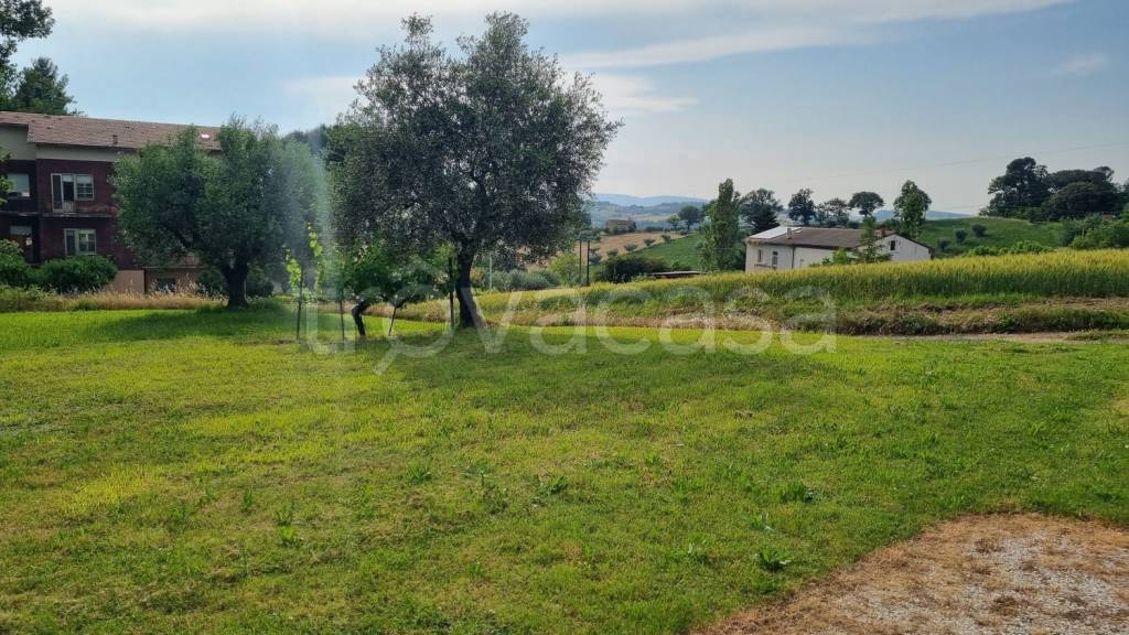immagine annuncio 3 di 6