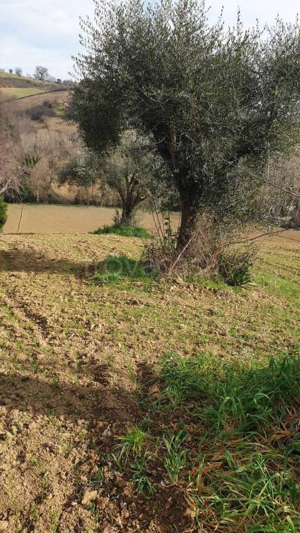 immagine annuncio 8 di 9