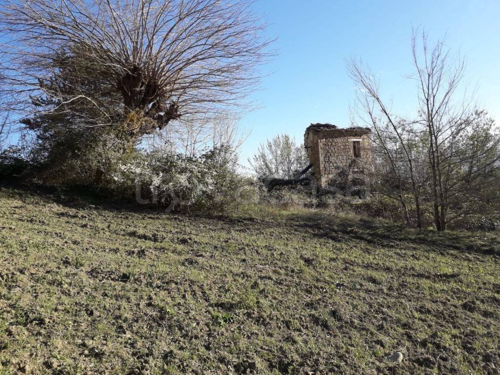 immagine annuncio 3 di 6