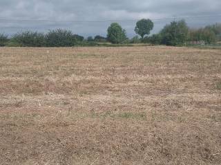 Terreno agricolo in vendita a prato via delle caserane