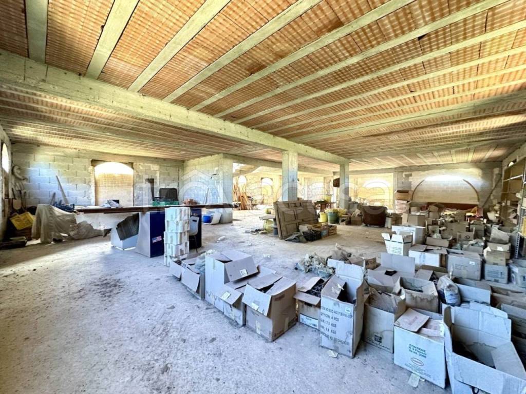 immagine annuncio 2 di 3