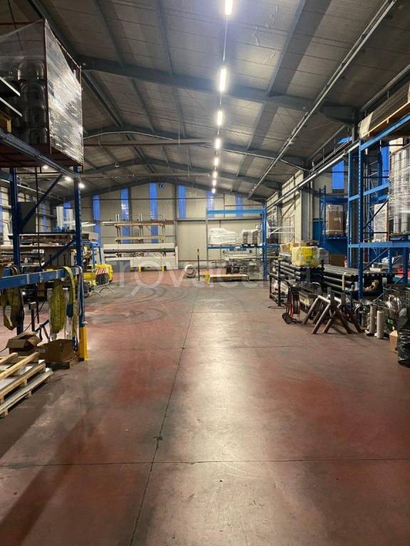 immagine annuncio 5 di 15