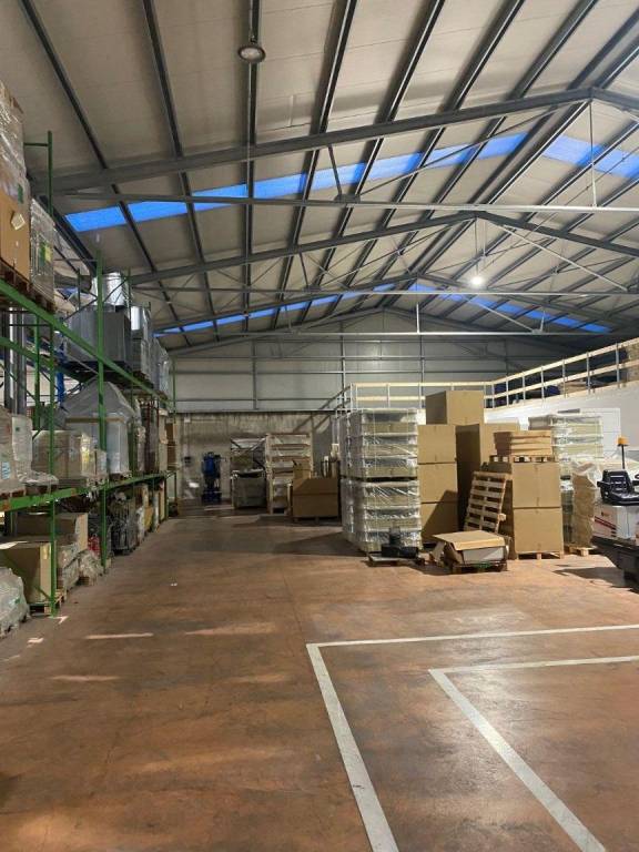 immagine annuncio 6 di 15