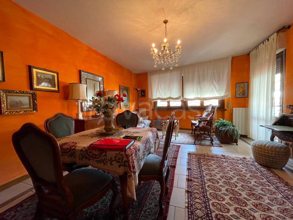 immagine annuncio 2 di 15
