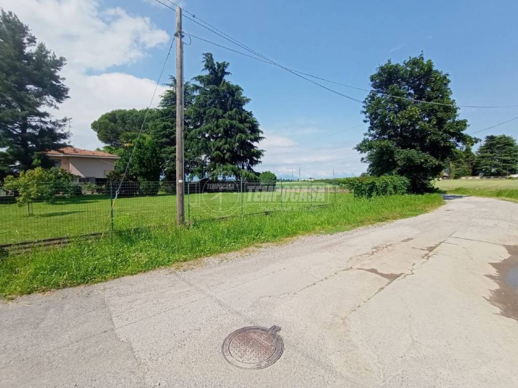 immagine annuncio 2 di 9