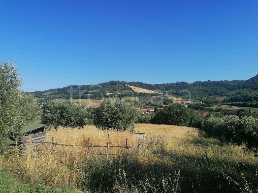 immagine annuncio 6 di 8