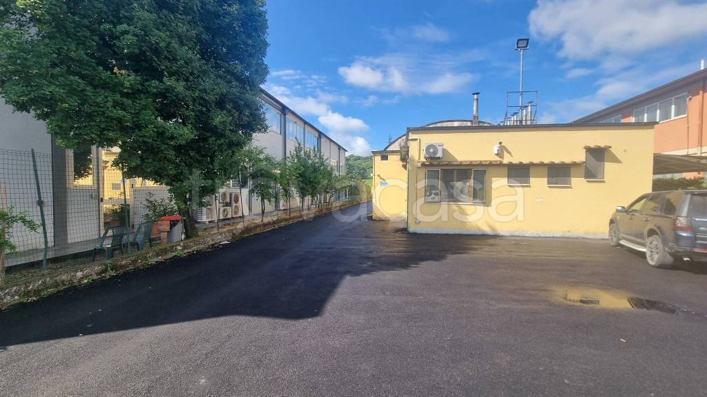 immagine annuncio 5 di 12