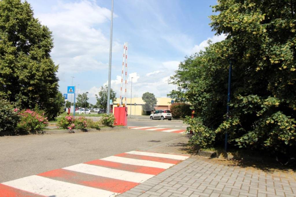 immagine annuncio 3 di 6