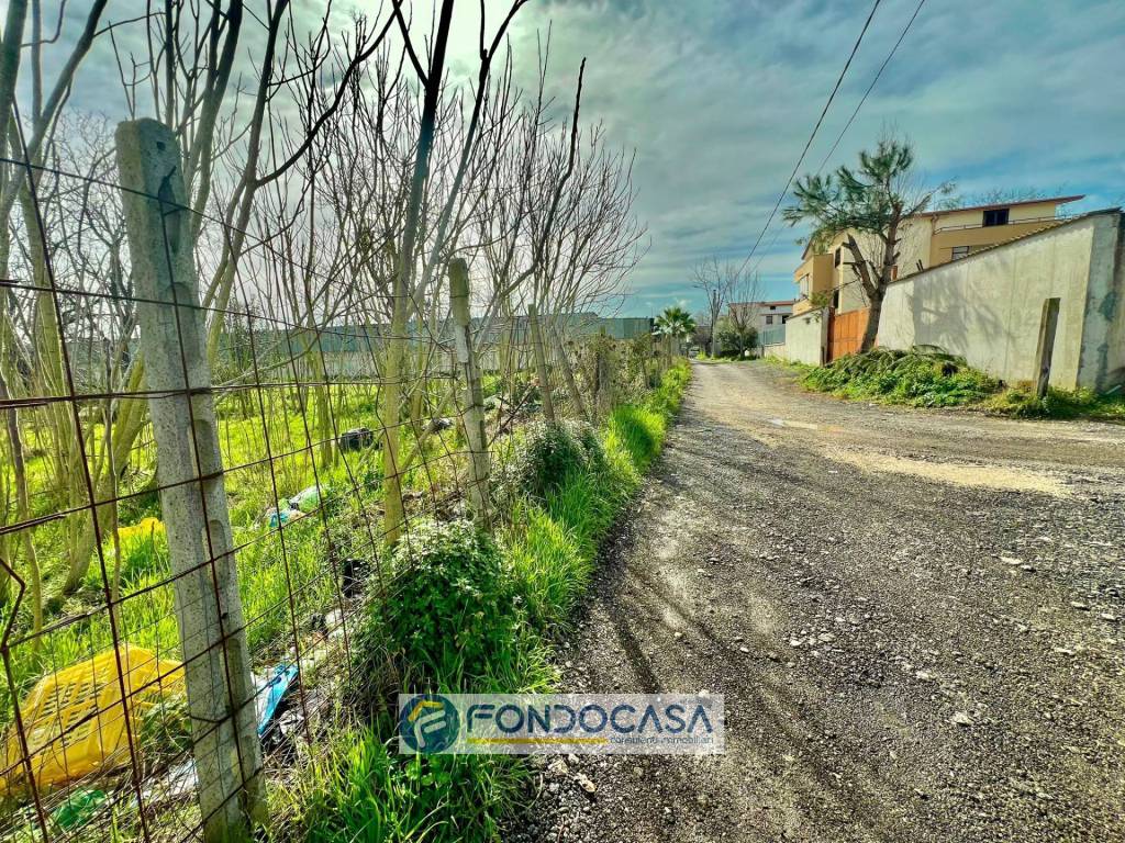 immagine annuncio 5 di 8