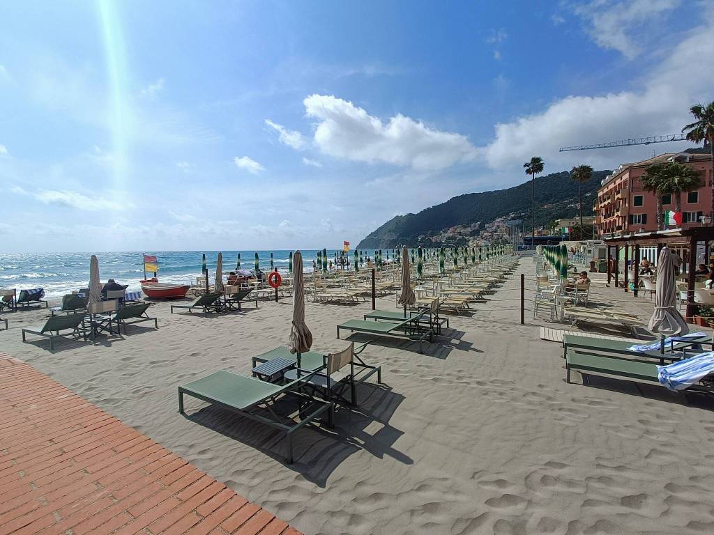 immagine annuncio 7 di 14