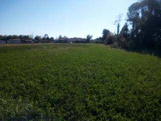 Terreno agricolo in affitto a mortegliano via canonica, 49