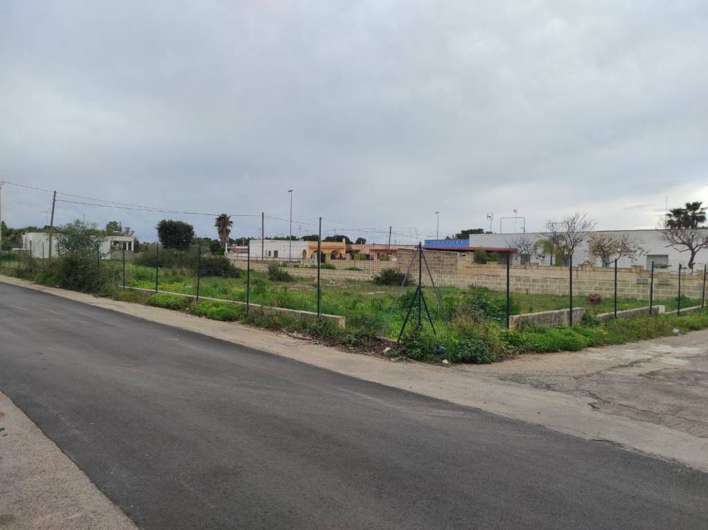 immagine annuncio 2 di 11