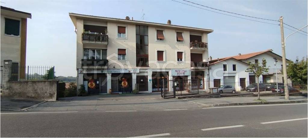immagine annuncio 11 di 15