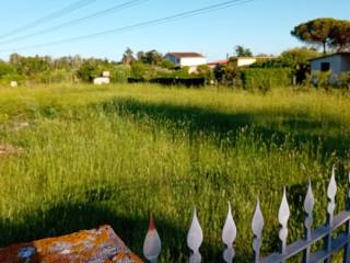 Terreno agricolo in vendita a latina strada casilina nord