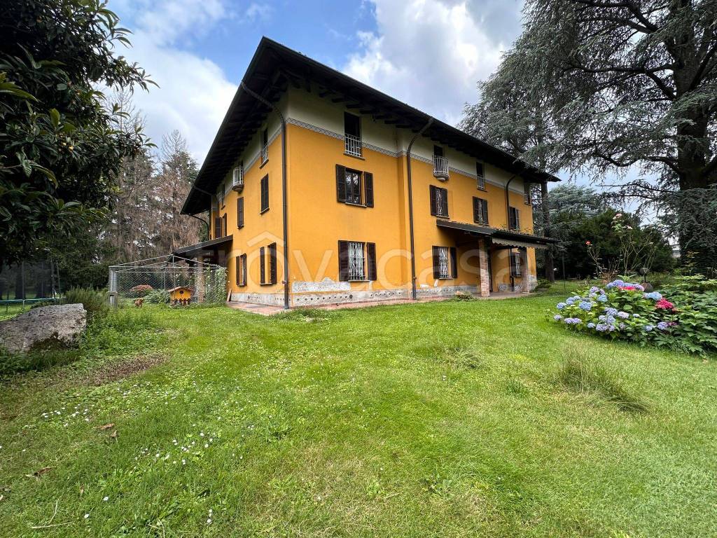 immagine annuncio 11 di 15
