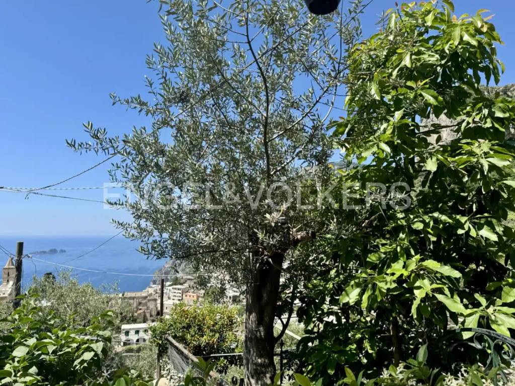 immagine annuncio 7 di 8