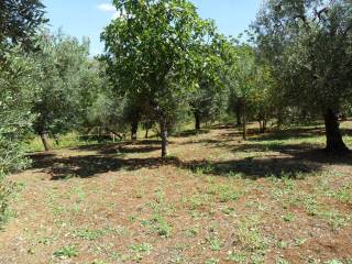 Terreno agricolo in vendita a itri strada provinciale itri sperlonga, 95