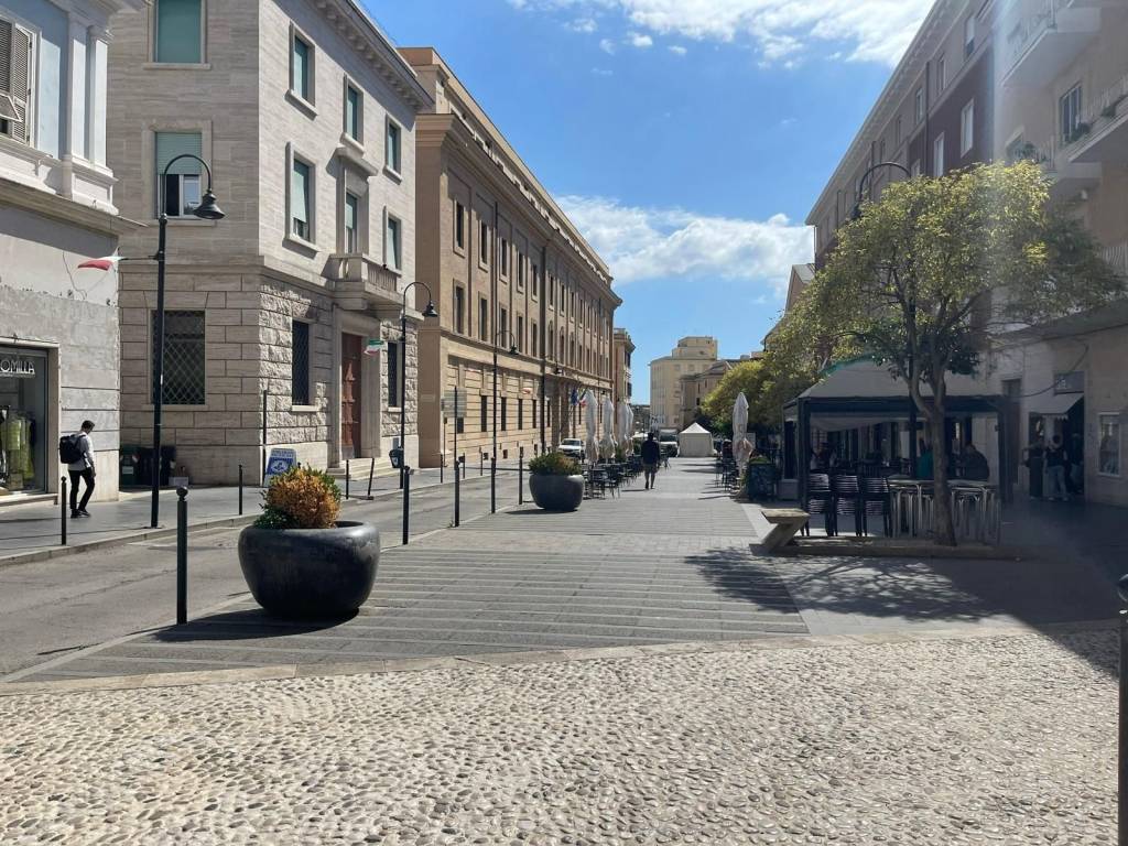 immagine annuncio 11 di 14