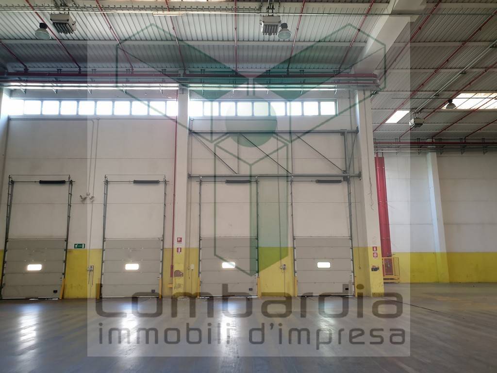 immagine annuncio 1 di 12