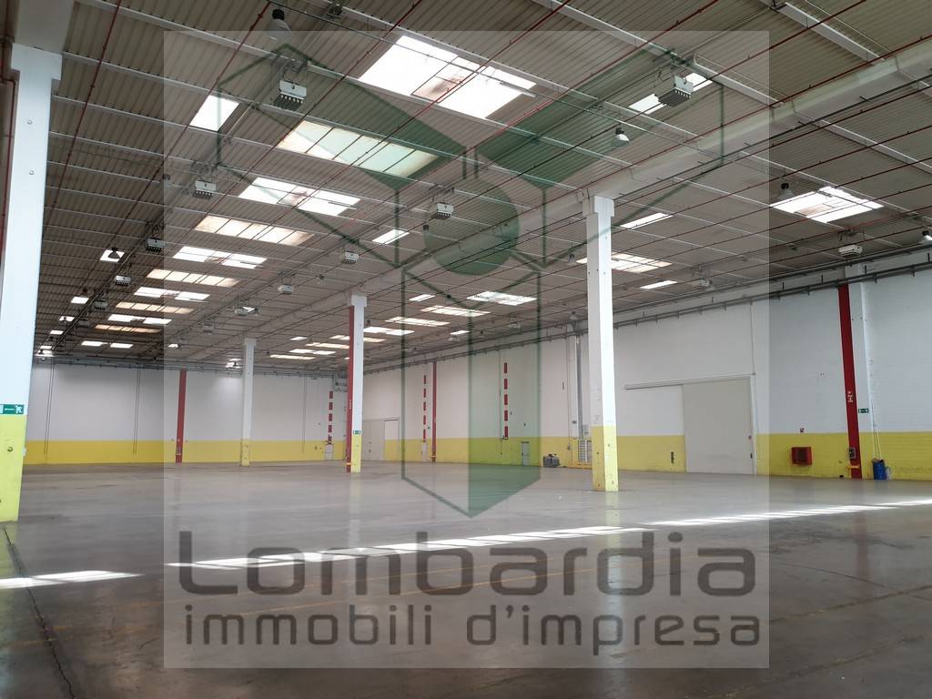 immagine annuncio 2 di 12