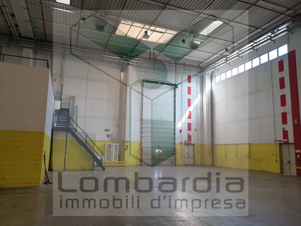 immagine annuncio 6 di 12