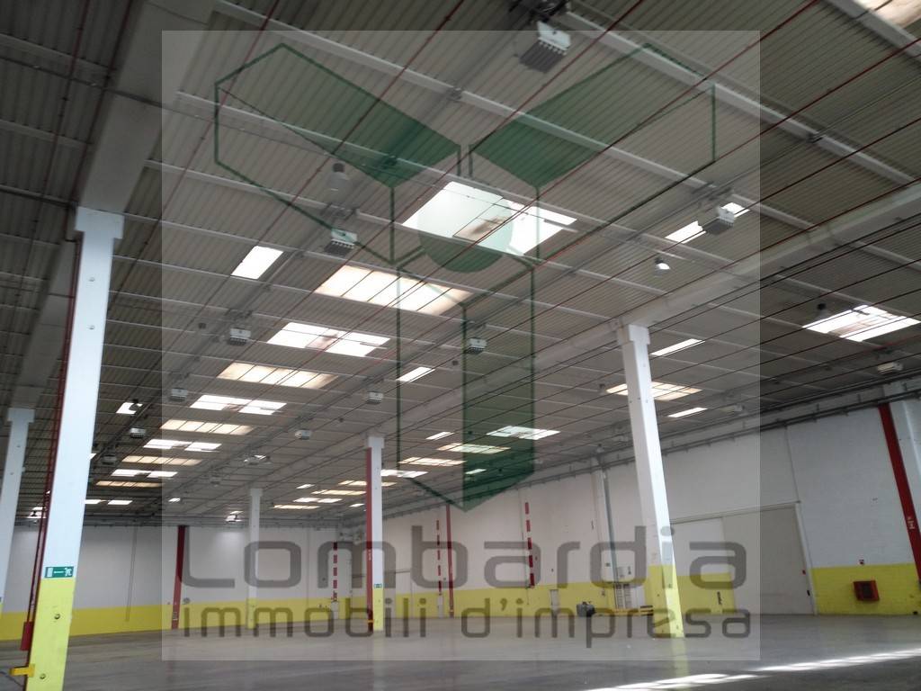 immagine annuncio 7 di 12