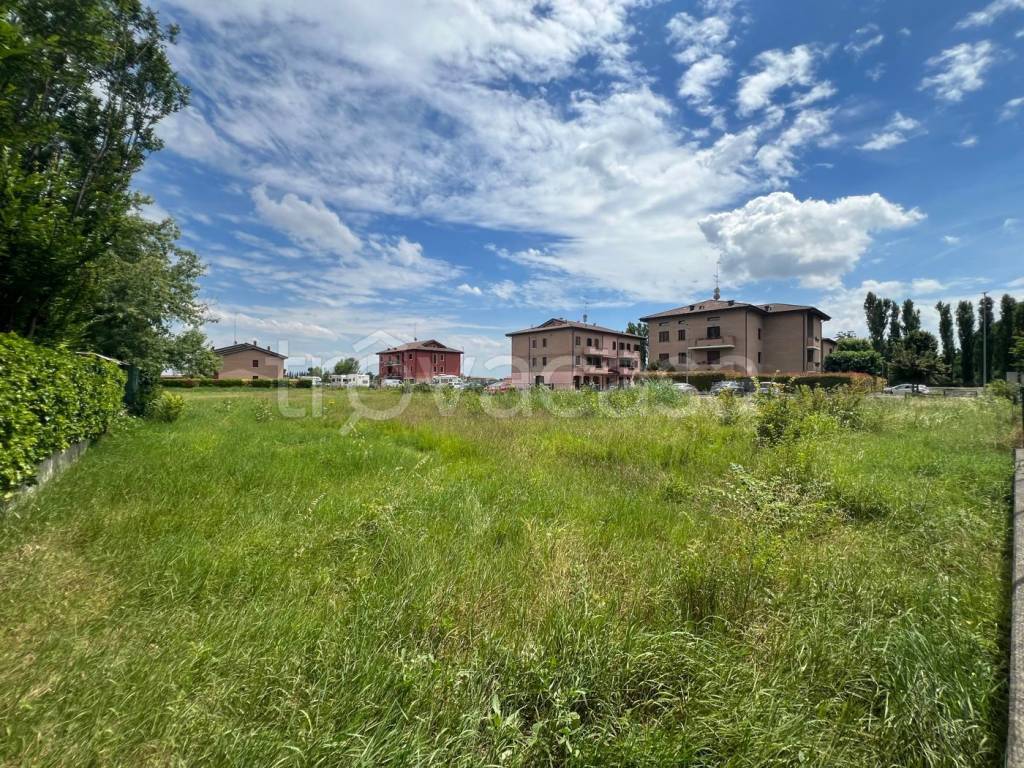 immagine annuncio 5 di 11