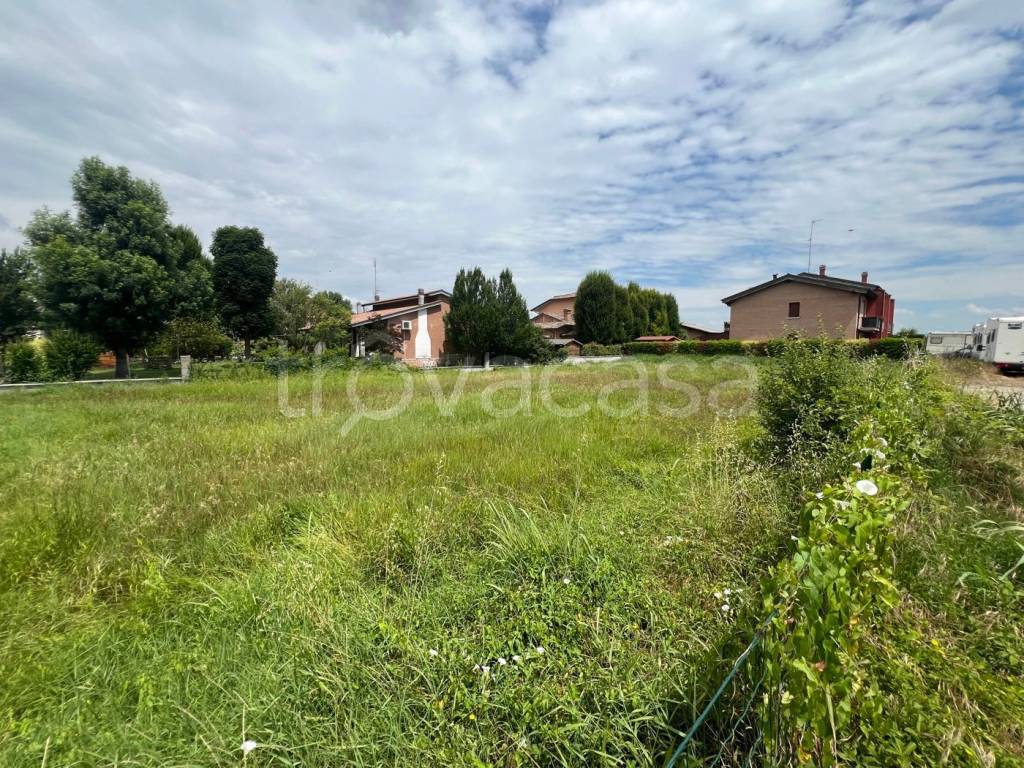 immagine annuncio 9 di 11