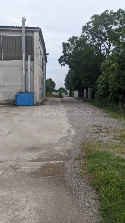 immagine annuncio 5 di 7