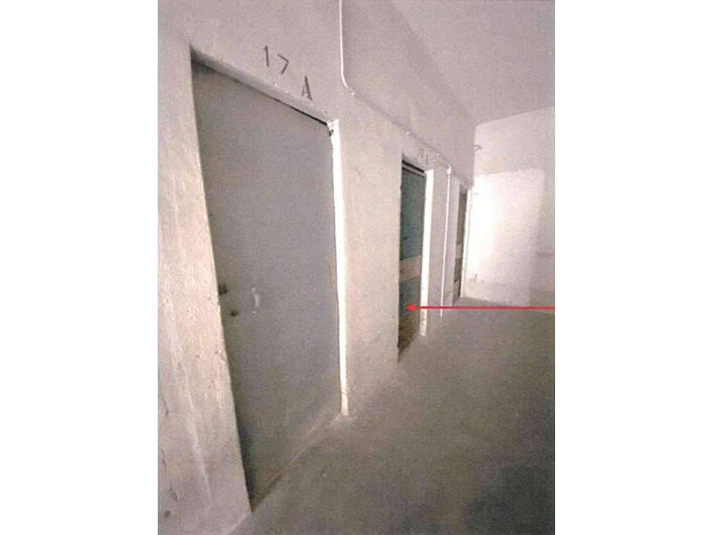 immagine annuncio 10 di 14