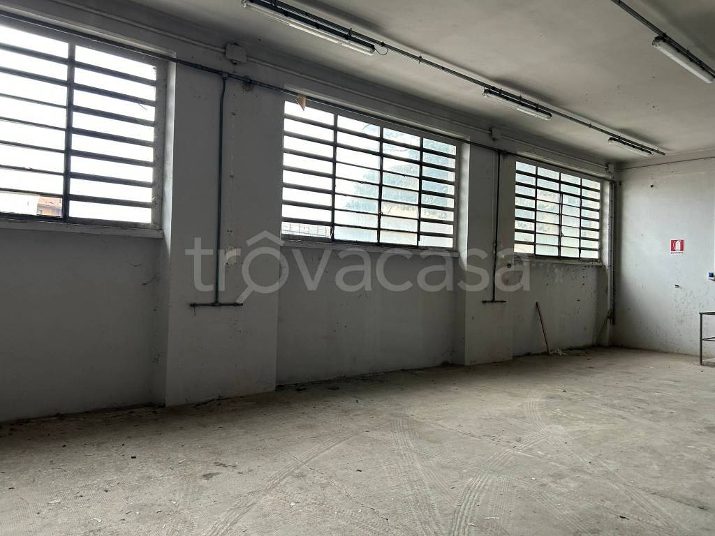 immagine annuncio 3 di 7