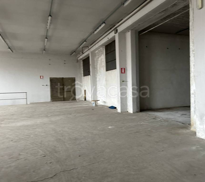 immagine annuncio 5 di 7