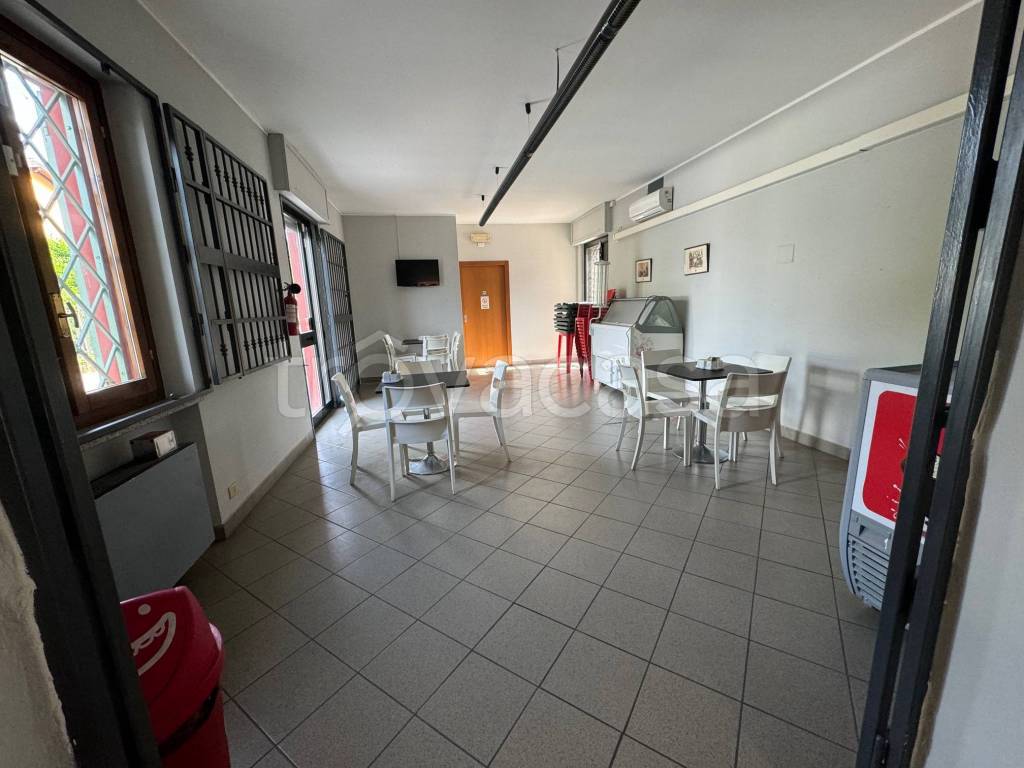 immagine annuncio 3 di 11
