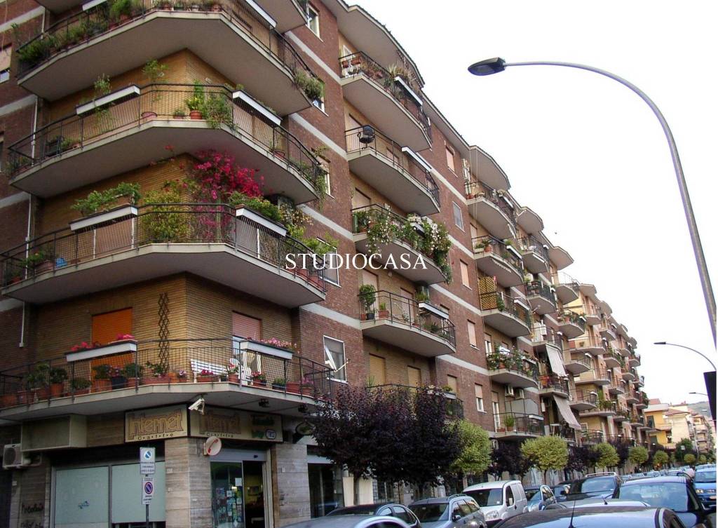 immagine annuncio 7 di 8