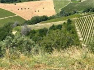 Terreno agricolo in vendita a montefiore dell'aso contrada menocchia