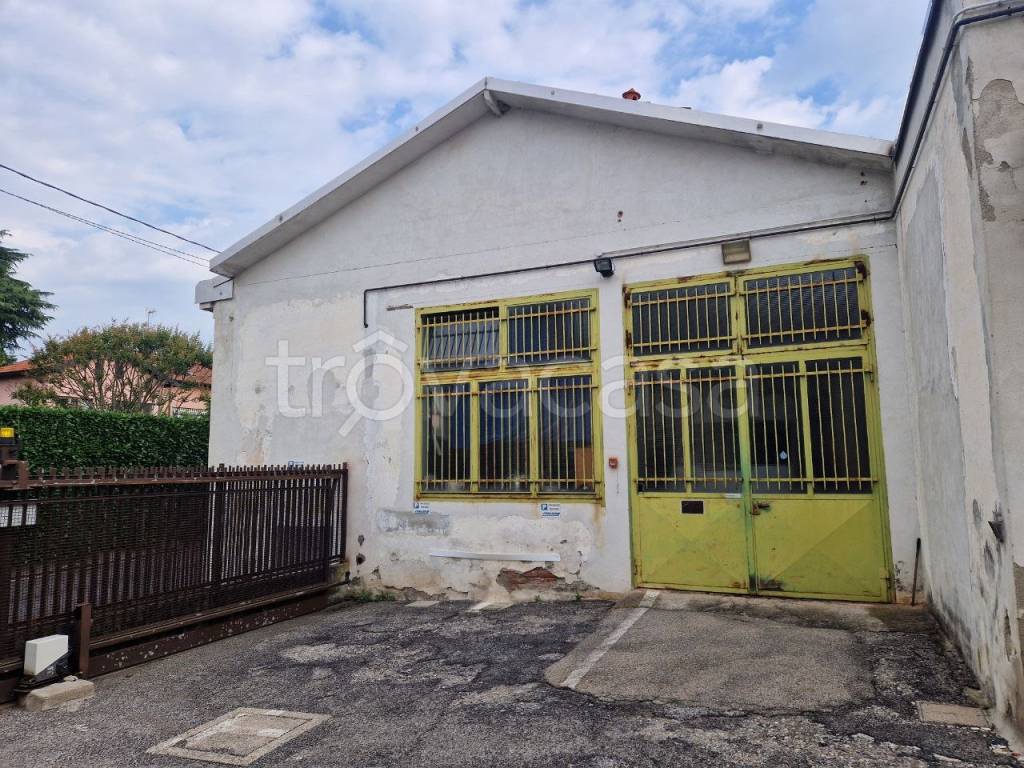 immagine annuncio 1 di 14